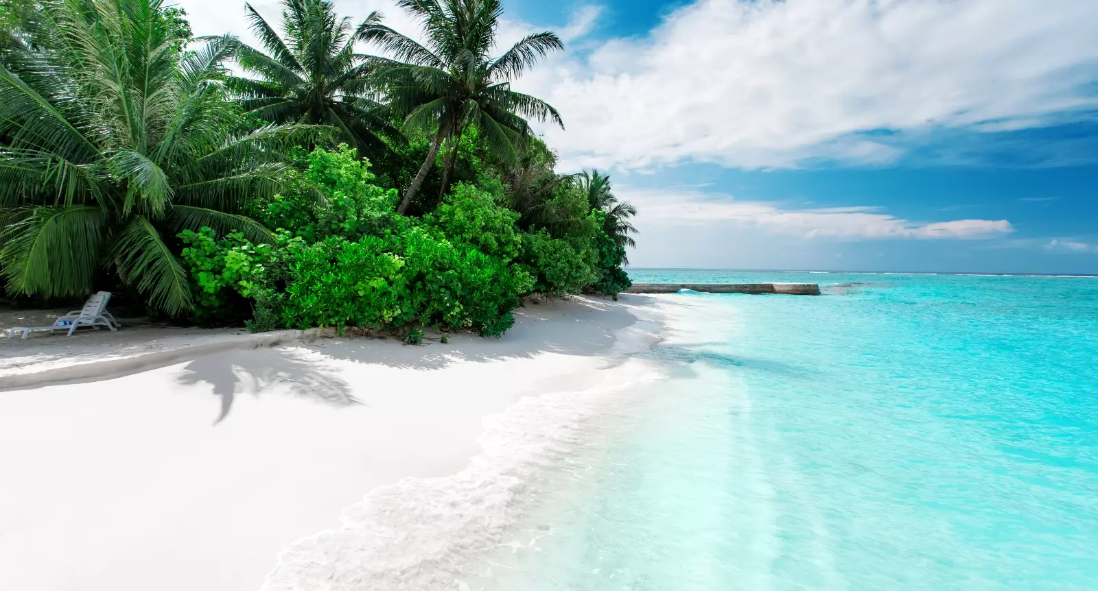 森本恭平のプロフィール２